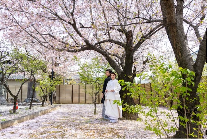 上野天満宮の撮影スポット13