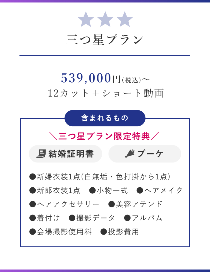 三つ星プラン