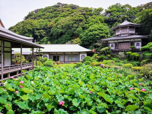 光明寺の撮影スポット3
