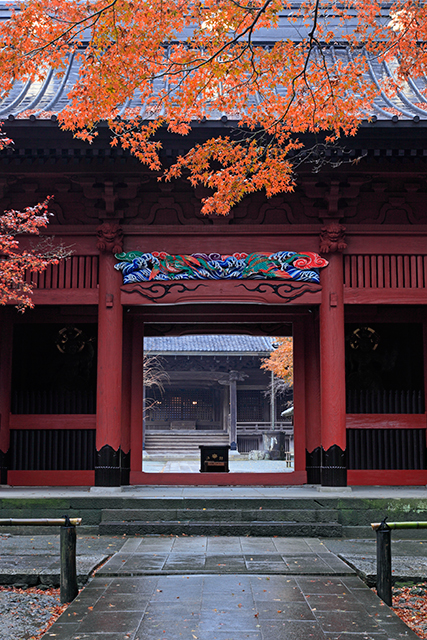 妙本寺の撮影スポット5