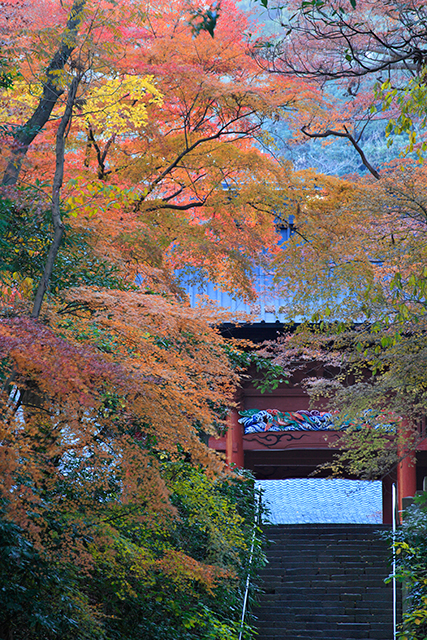 妙本寺の撮影スポット6
