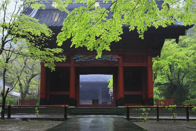 妙本寺の撮影スポット8