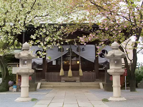 七社神社 神社 和婚スタイル 東京 400円で叶える神前式 神社結婚式